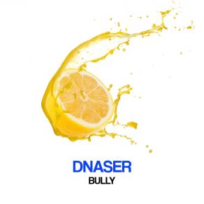 Download track Bully (J's Music Remix) Dnaser