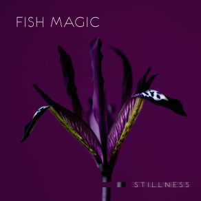 Download track Moonlight On My Mind Magic Fish