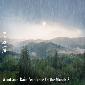 Download track Wind And Rain Ambience In The Woods, Pt. 3 Steve Brassel