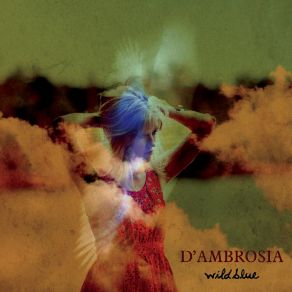 Download track Barred For Life D'Ambrosia