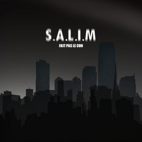 Download track Fait Pas Le Con Salim