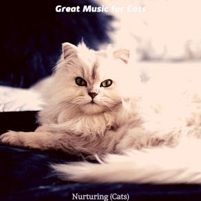 Download track Kittens - Feelings Great Music For Cats