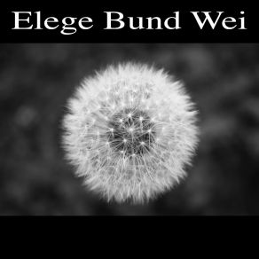 Download track Electric Swing Elege Bund Wei