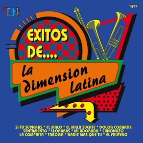 Download track La Comprita Dimension Latina