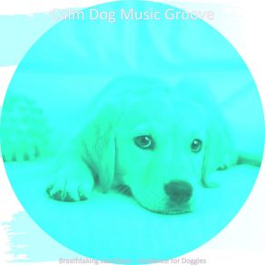 Download track Urbane Backdrops For Doggy Training Calm Dog Music Groove