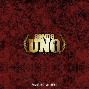 Download track Suena (Acústico) Somos UnoSonido Lexico