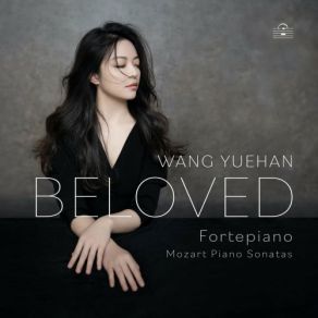 Download track Piano Sonata In D Major, K. 311 I. Allegro Con Spirito Wang Yuehan