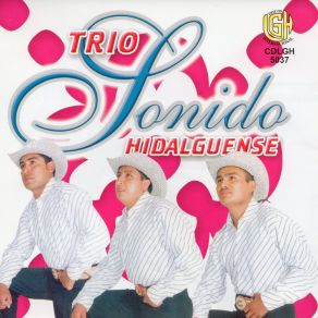 Download track Como Pude Enamorarme De Ti Trio Sonido Hidalguense