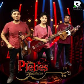 Download track Me Esta Llamando Mi Ex TRIO PLEBES HUASTECOS