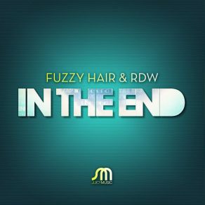 Download track In The End (Fuzzy Hair 2011 Remix) Rdw