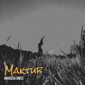 Download track The Ripple Of Love Marissa Ortiz