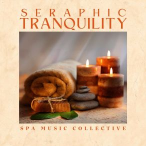 Download track Chillout Spa Music Spa Music Collective