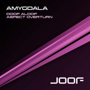 Download track Aspect Overturn (DJ Friendly) Amygdala