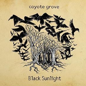 Download track Beautiful Soul Coyote Grove