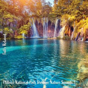 Download track Plitvice National Park Daytime Nature Sounds, Pt. 19 Steve Brassel