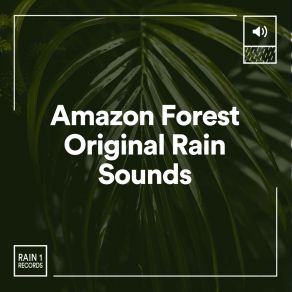 Download track Regal Rain, Pt. 10 Clear Mind Raining