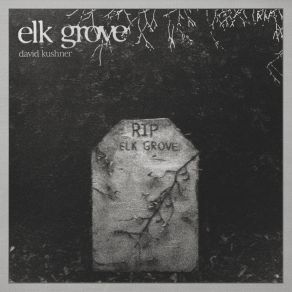 Download track Elk Grove David Kushner