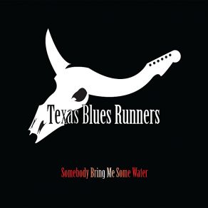 Download track Voodoo Woman Texas Blues Runners