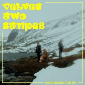 Download track Wooden Bones Velvet Two Stripes