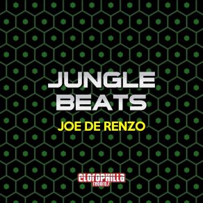 Download track Jungle Beats (Kevin Rivas Remix) Joe De Renzo