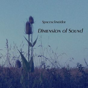 Download track Chigala Spaceschneider