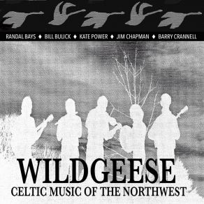 Download track Mist Covered Mountain / Monaghan's Jig Wildgeese