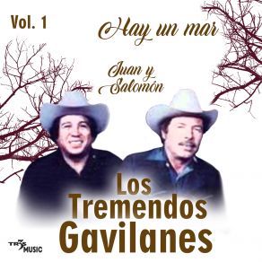 Download track Te Quiero Por Que Te Quiero Los Tremendos Gavilanes