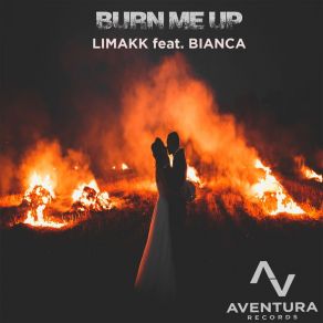 Download track Burn Me Up (Monsieur Zonzon Tropical Mix) Limakk