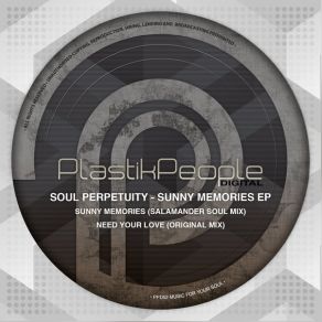 Download track Sunny Memories (Salamander Soul Mix) Soul Perpetuity