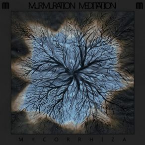 Download track Amber Dew Murmuration Meditation