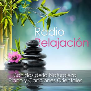 Download track Resquicio De Esperanza Musica RelajanteMind Entrainment Doctor