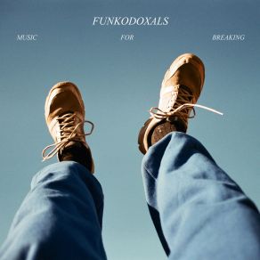 Download track Just Began Funkodoxals