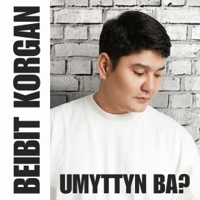 Download track Zhaiyktyn Kyzy Beibit Korgan