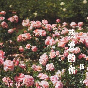 Download track 我把你忘记了 杨子沁