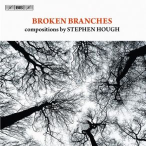 Download track Sonata For Piano (Broken Branches) Stephen Hough, Tapiola Sinfonietta