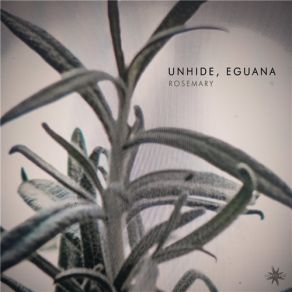 Download track Rosemary Eguana, Unhide