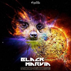 Download track Moongoose (Original Mix) Black Marvin