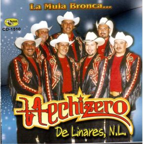 Download track Zapateando En Tamaulipas Hechizero De Linares