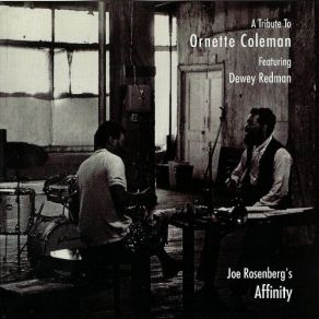 Download track Beauty Is A Rare Thing Dewey Redman, Joe Rosenberg's Affinity