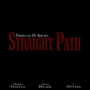 Download track Straight Path S. Spyda