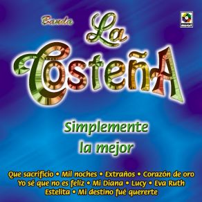 Download track Mi Destino Fue Quererte Banda La Costeña