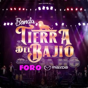 Download track Bailando Y Gozando / Chiquilina (En Vivo) Banda Tierra Del Bajío