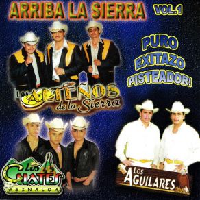 Download track Pedazos De Mi Los Cuates De Sinaloa, Los Aguilares, Los Alteños De La Sierra