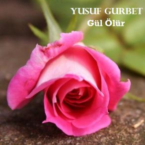 Download track Derdu Kul Yusuf Gurbet