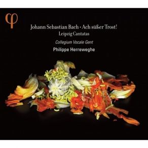 Download track 03 - III. Ach, Wo Hol Ich Armer Rat Johann Sebastian Bach