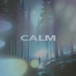 Download track CALM (Sped Up) KRXDO