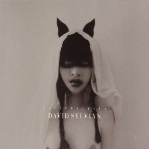 Download track Sleepwalkers David Sylvian