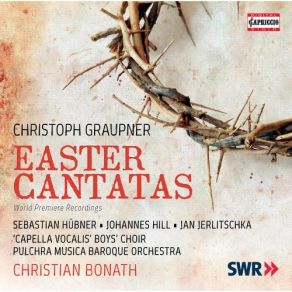 Download track Eröffnet Euch Ihr Augenquellen, GWV 112725 No. 4, Ach, Sichre Welt Christian Bonath, Pulchra Musica Baroque Orchestra