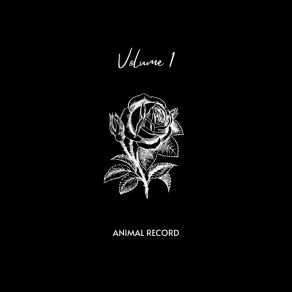 Download track Figlia Mia Animal Record