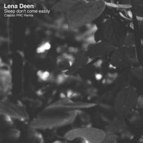 Download track Hoover 904 Lena Deen